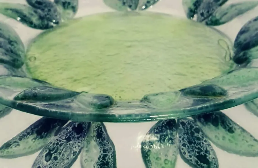 Plato flor en vidrio verde